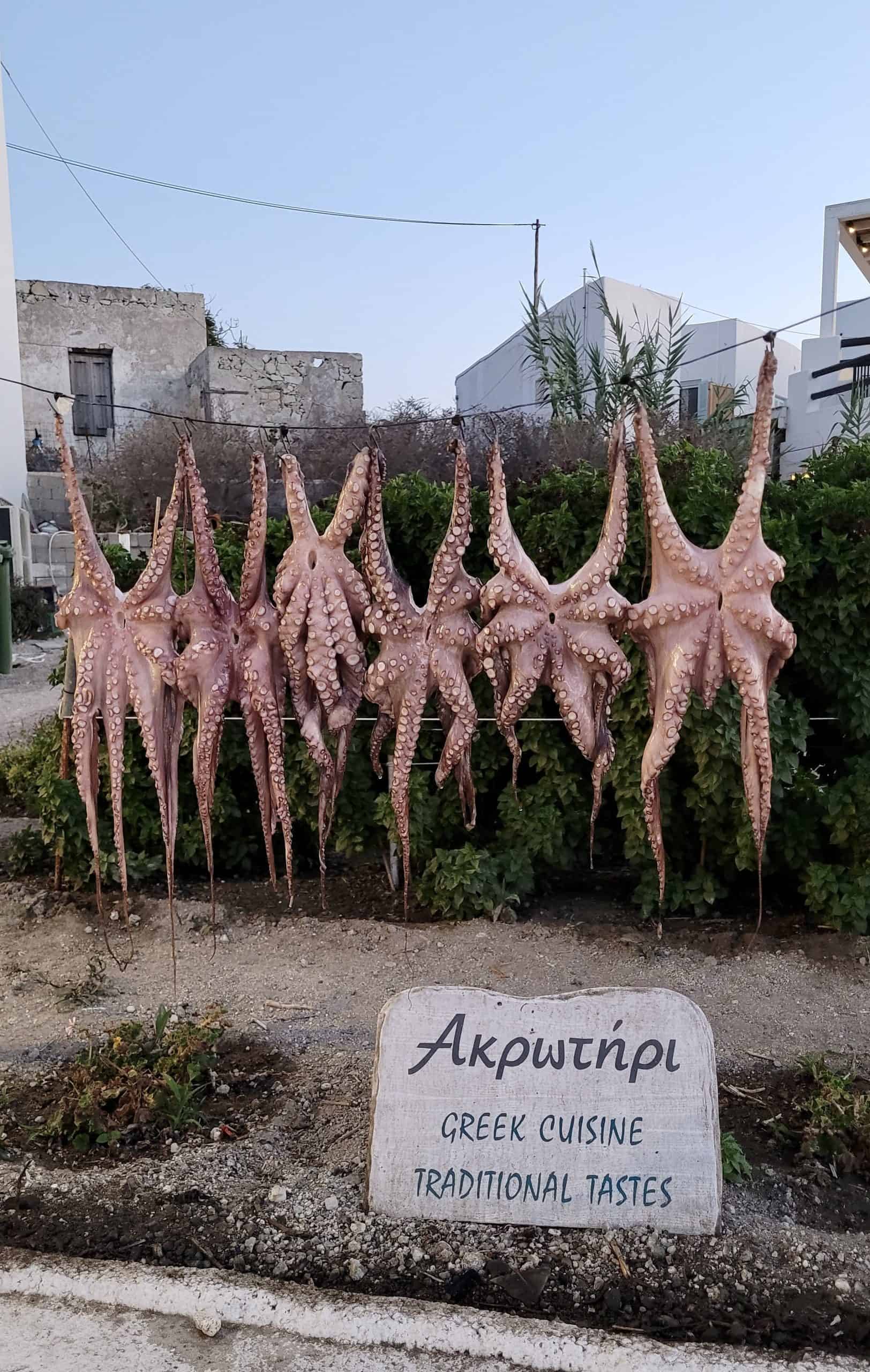 Fresh octopus drying in the sun outside a seaside taverna on Milos island.